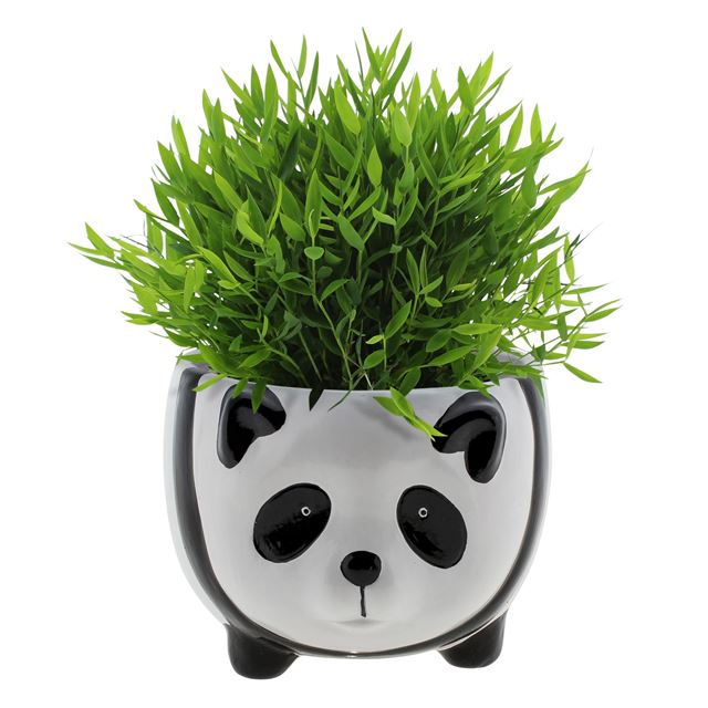 Picture of Bamusa pogonatherum monica in ceramic