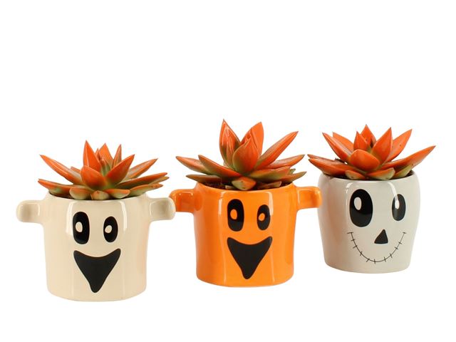 Picture of Halloween arrangement 01pp ceramic