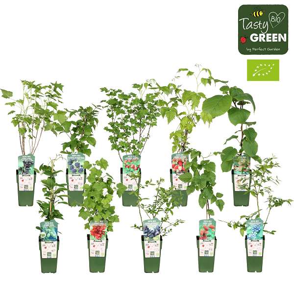 Picture of Soft fruit bio mix