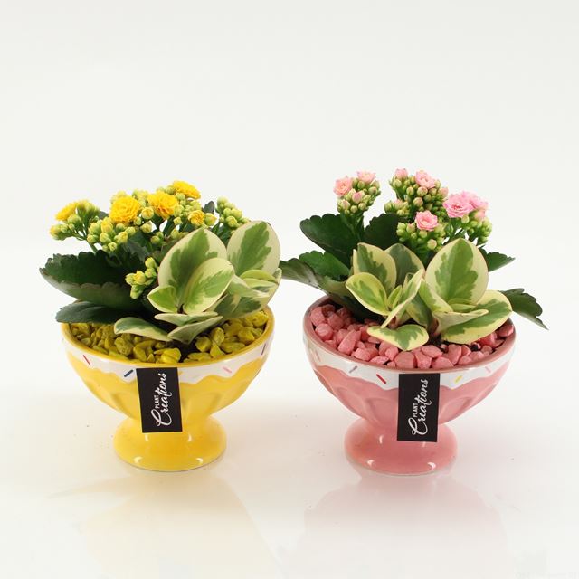 Picture of Summer arrangement 03pp in ceramic