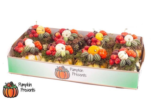 Picture of Pumpkin arrangement small