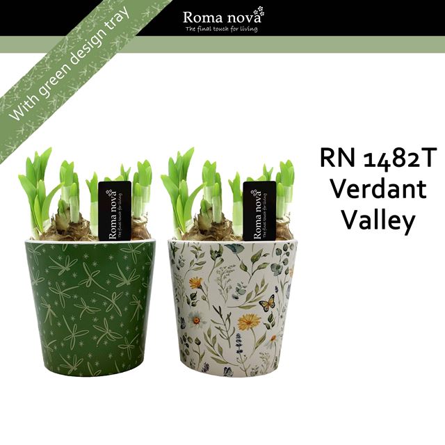 Picture of Narcissus ceramic verdant valley