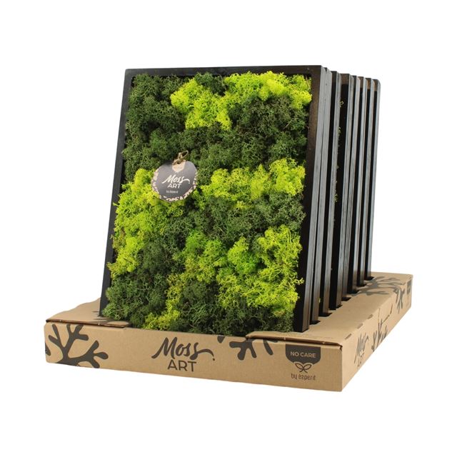 Picture of MOSS ART ARRANGEMENT RECTANGULAR