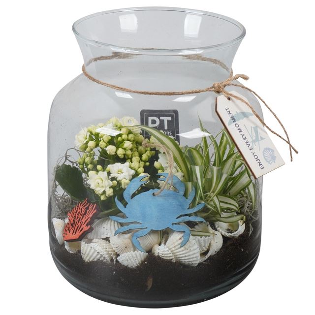 Picture of SUMMER ARRANGEMENT 02PP IN GLASS