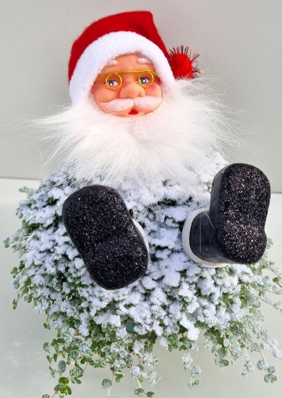 Picture of HELEXINE SANTA CLAUS + SNOW