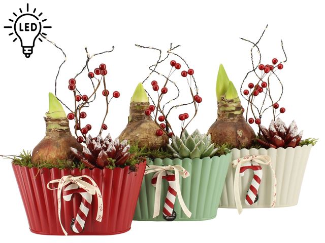 Picture of XMAS ARRANGEMENT 02PP ZINC