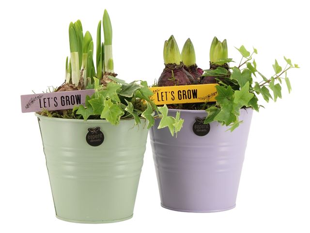 Picture of Spring arrangement outdoor 02pp