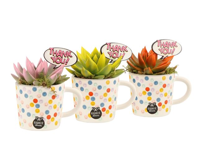 Picture of Love school arrangement in ceramic