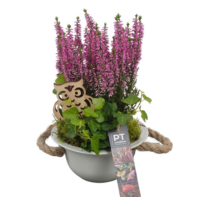Picture of AUTUMN ARRANGEMENT OUTDOOR IN ZINC
