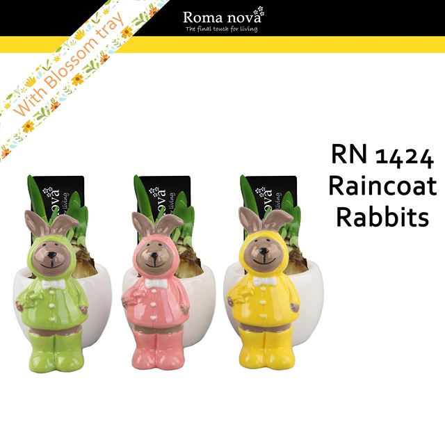 Picture of Narcissus raincoat rabbits