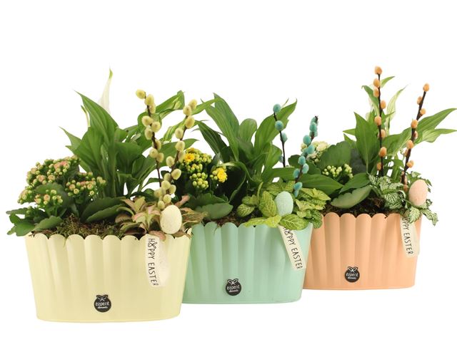 Picture of Easter arrangement