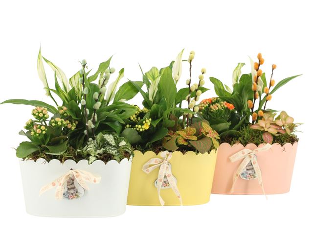 Picture of Easter arrangement