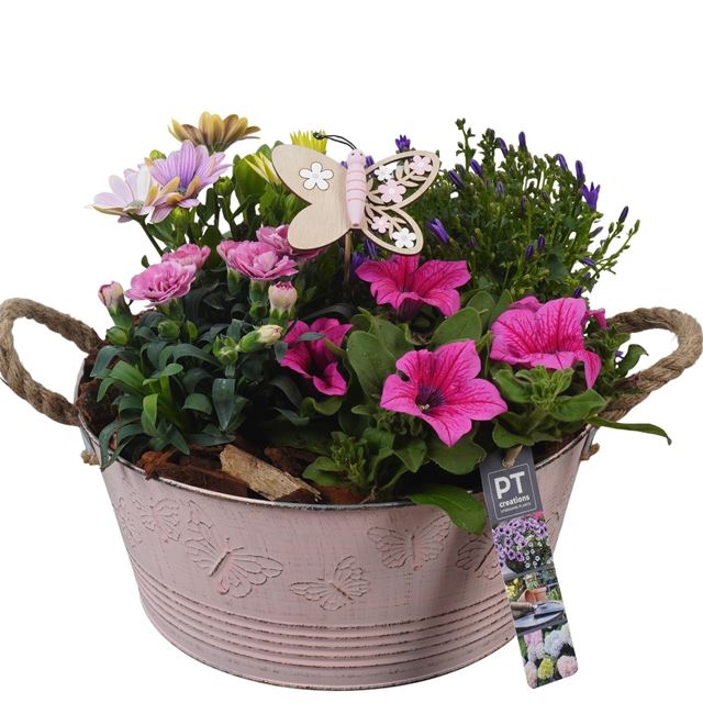 Picture of Patio arrangement 04pp in zinc