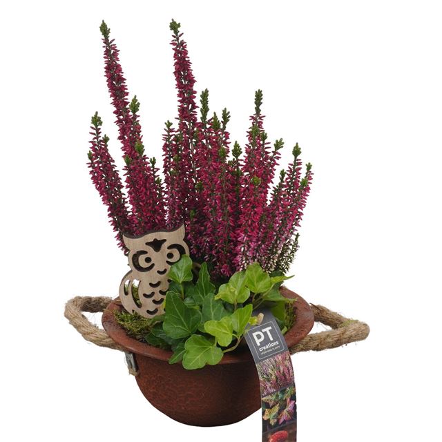 Picture of AUTUMN ARRANGEMENT OUTDOOR IN ZINC