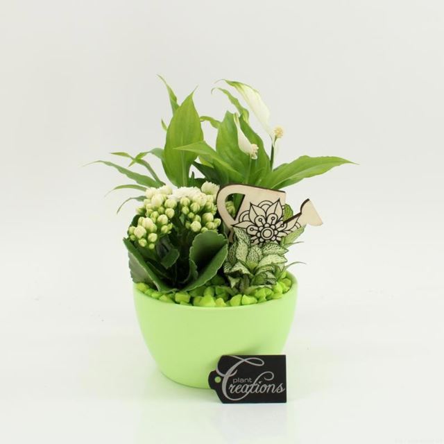 Picture of Green arrangement in green ceramic