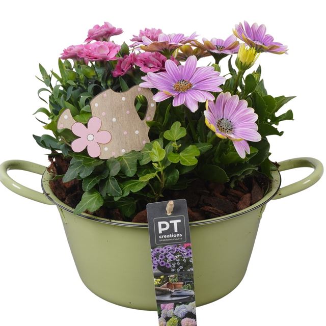 Picture of Patio arrangement 03pp in zinc