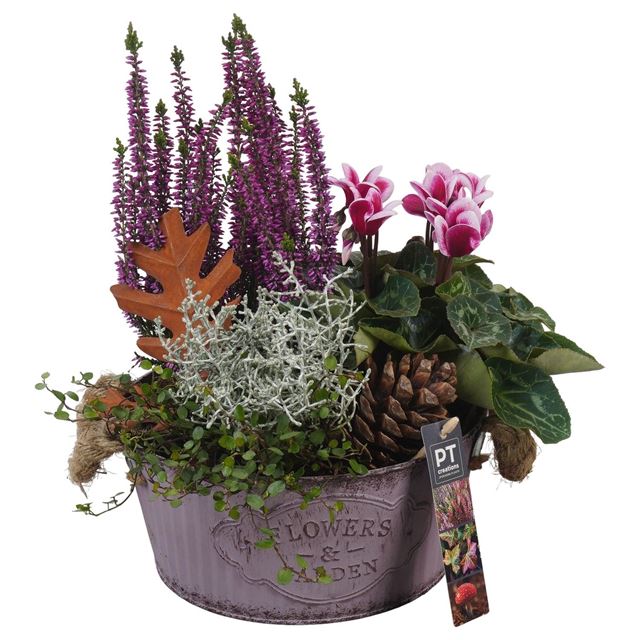 Picture of AUTUMN ARRANGEMENT OUTDOOR IN ZINC