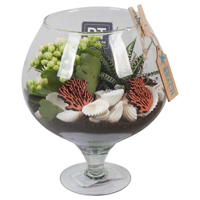 Picture of SUMMER ARRANGEMENT 02PP IN GLASS
