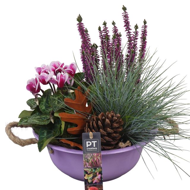 Picture of PTHO4006 ARRANGEMENT HERFST OUTDOOR IN METALEN SCH