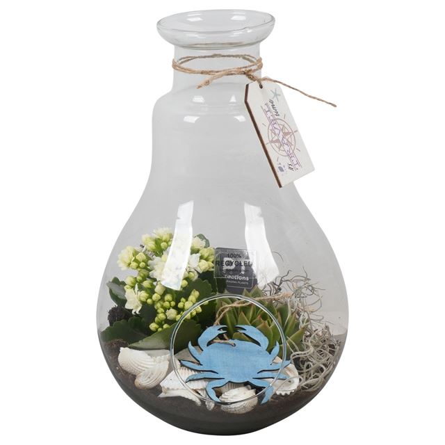 Picture of SUMMER ARRANGEMENT 02PP IN GLASS