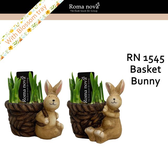 Picture of Narcissus basket bunny