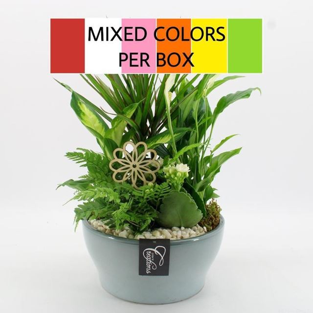 Picture of Foliage arrangement in ceramic