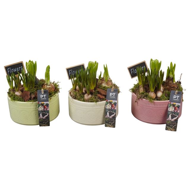 Picture of Spring arrangement 02pp