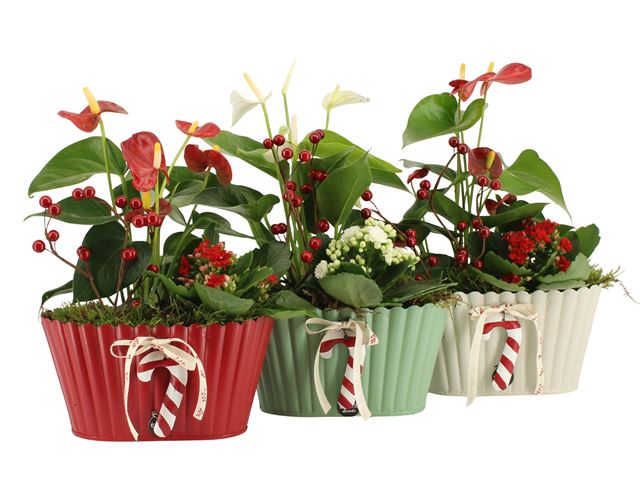 Picture of XMAS ARRANGEMENT 02PP ZINC