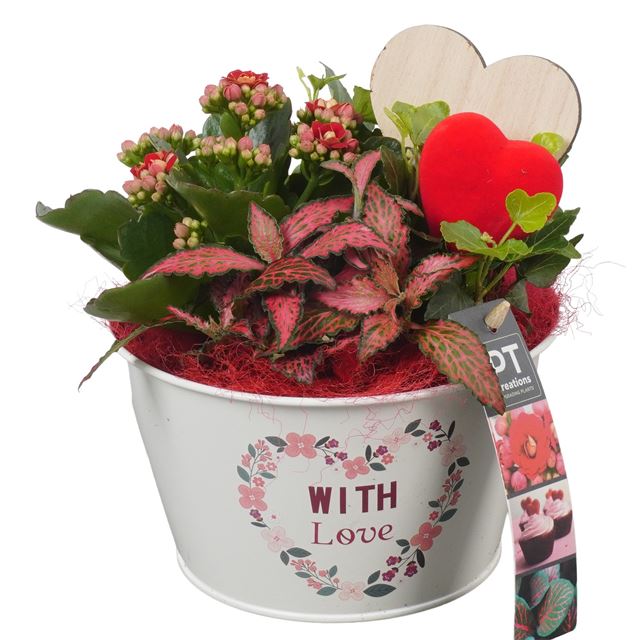 Picture of VALENTINE'S DAY ARRANGEMENT 03PP IN METAL POT