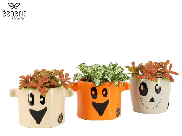 Picture of Halloween arrangement 01pp ceramic