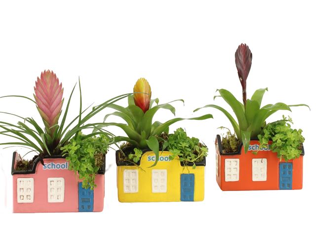 Picture of Love school arrangement in ceramic