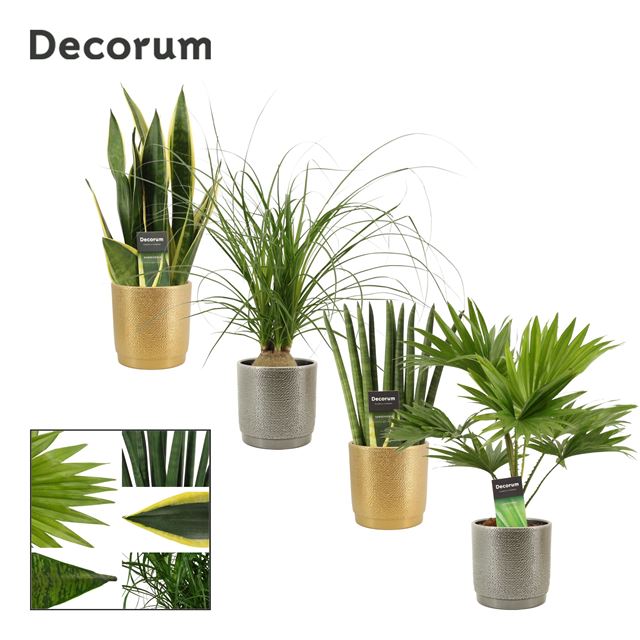 Picture of FOLIAGE MIX IN GABRIEL DECO COLLECTION