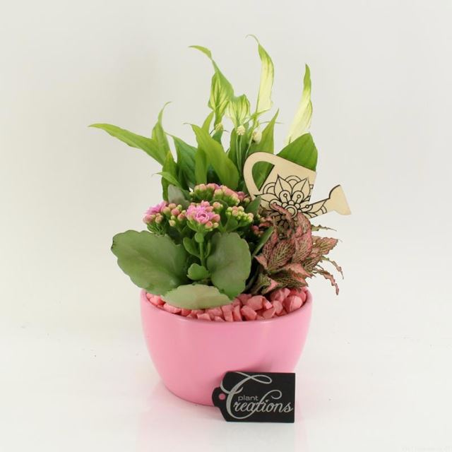 Picture of Pink arrangement in pink ceramic
