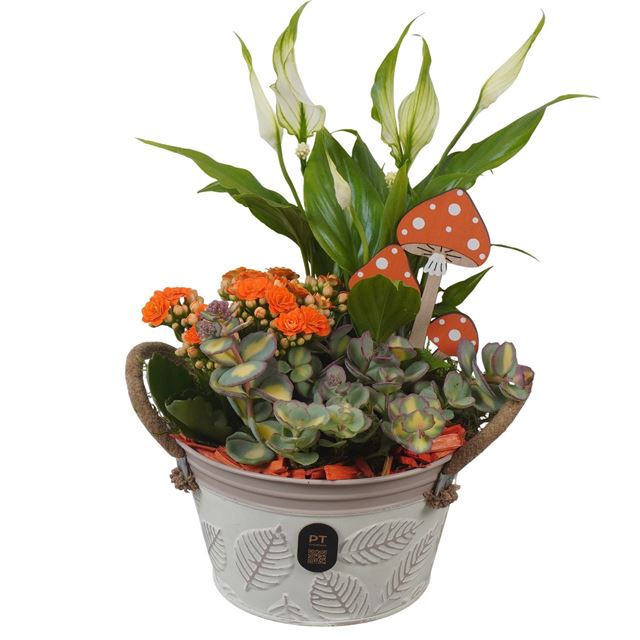 Picture of Autumn arrangement 03pp in zinc - indoor