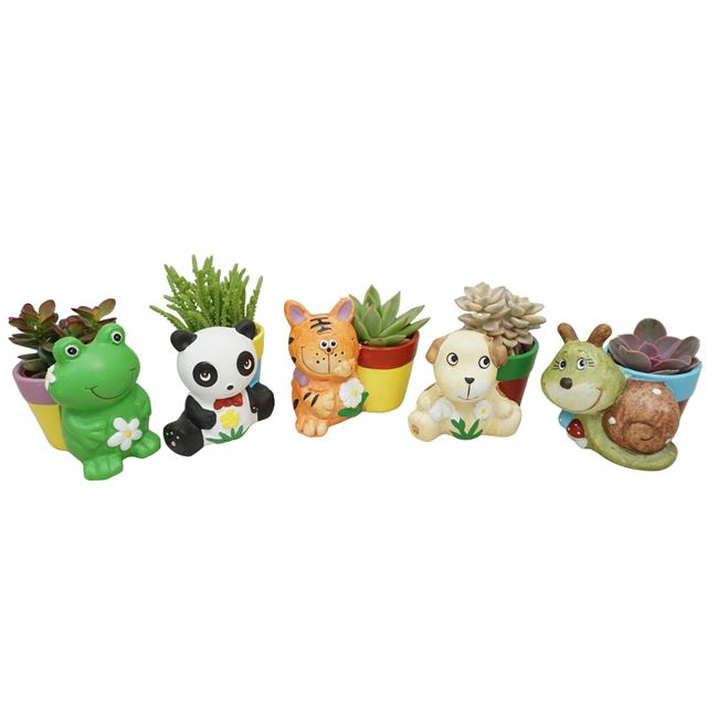 Picture of Succulent mix in animal ceramic