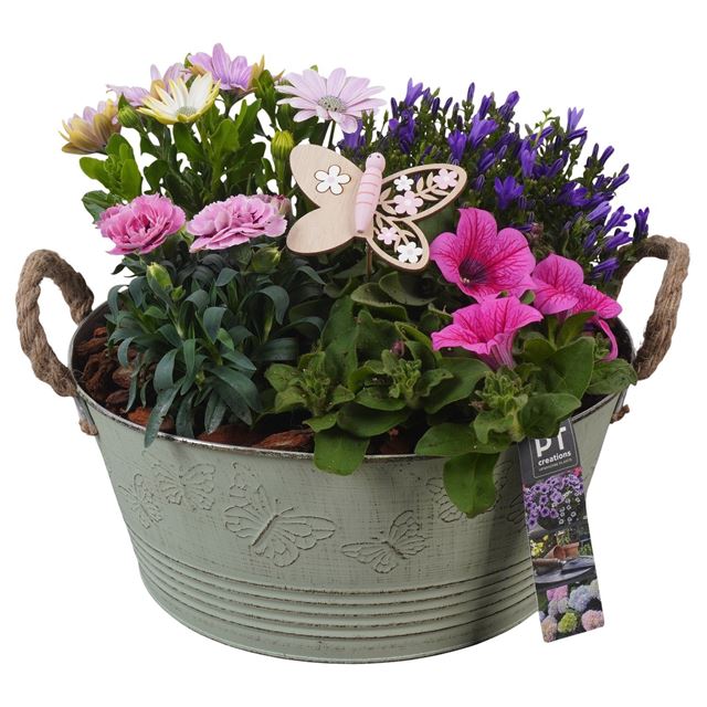 Picture of Patio arrangement 04pp in zinc