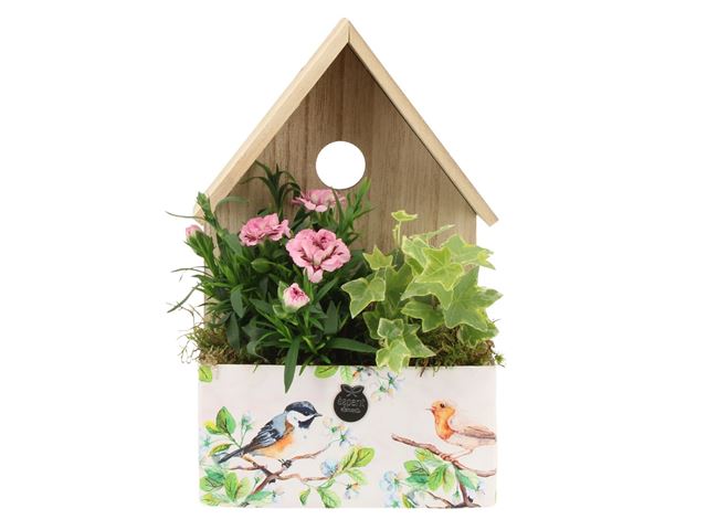 Picture of Spring arrangement outdoor 02pp