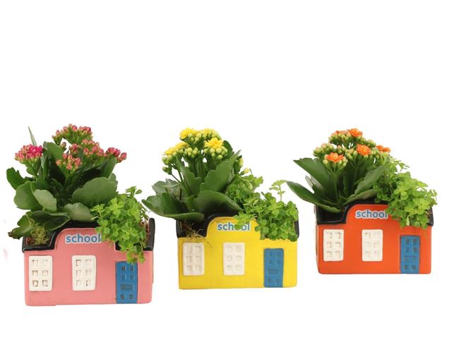 Picture of Love school arrangement in ceramic