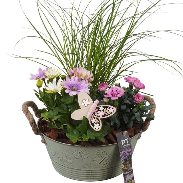 Picture of Patio arrangement 04pp in zinc