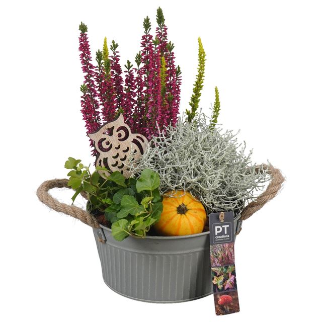 Picture of AUTUMN ARRANGEMENT OUTDOOR IN ZINC