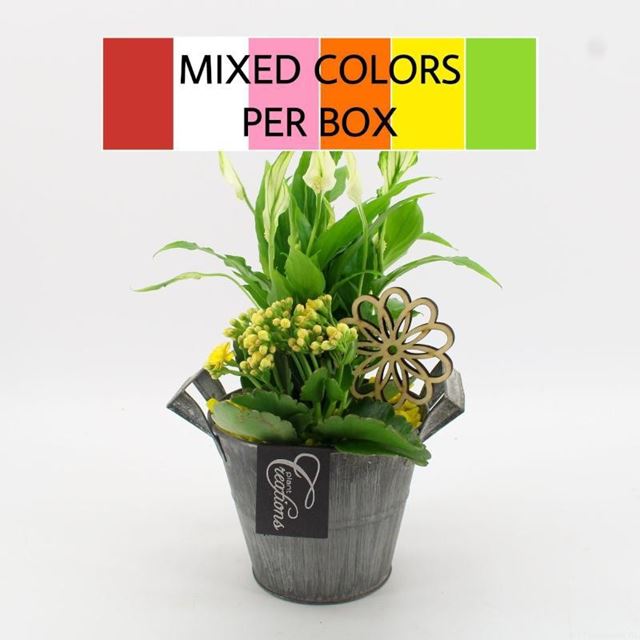 Picture of Foliage arrangement in zinc pot