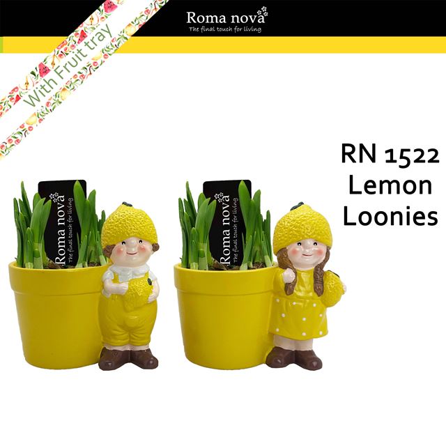 Picture of Narcissus lemon loonies