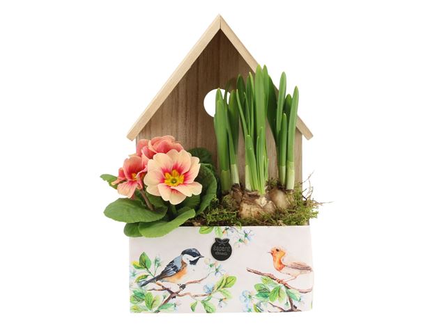 Picture of Spring arrangement outdoor 02pp