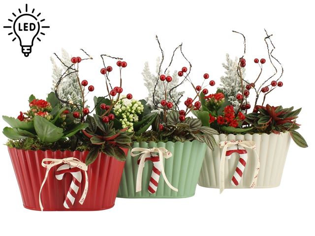 Picture of XMAS ARRANGEMENT 02PP ZINC