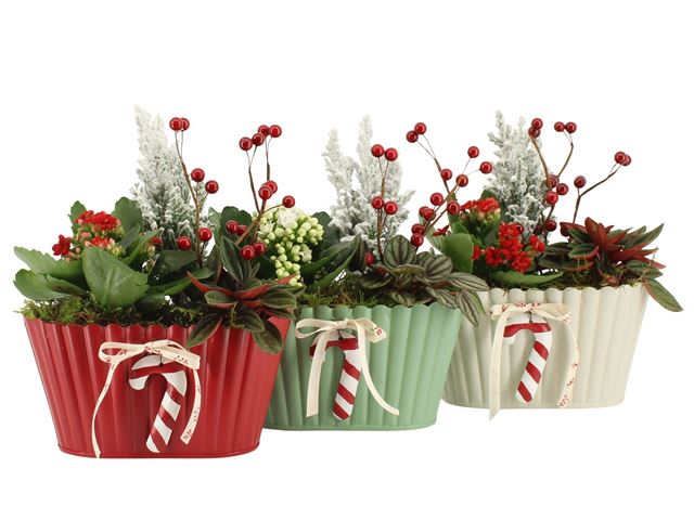 Picture of XMAS ARRANGEMENT 02PP ZINC