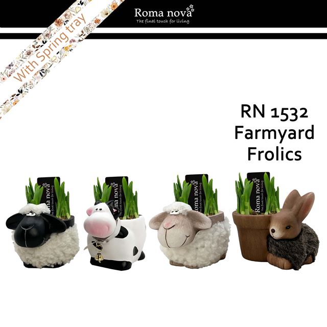 Picture of Narcissus farmyard frolics