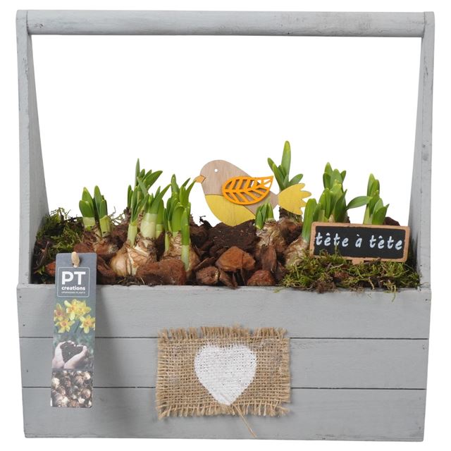 Picture of Arrangeme45425nt narcissus wood