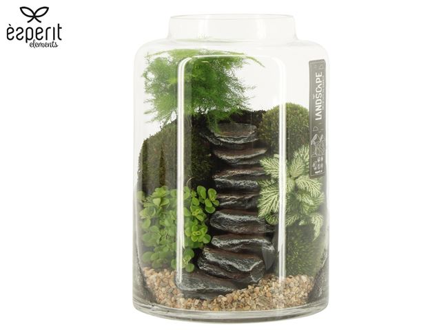 Picture of TERRARIUM LANDSCAPE