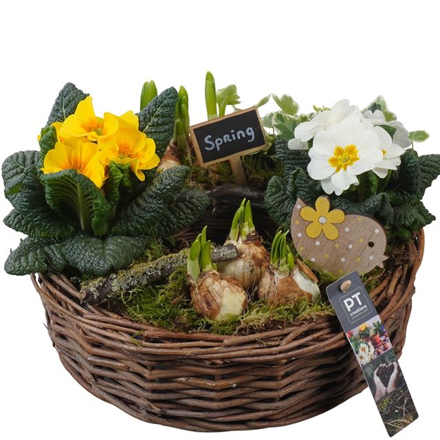 Picture of Spring arrangement 03pp