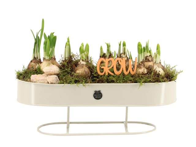 Picture of Spring arrangement outdoor 01pp